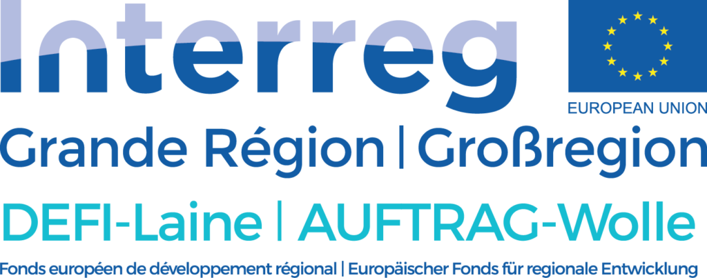 Interreg - DEFI Laine logo