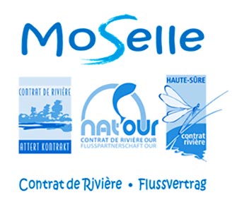 Logo Contrat de Rivière Moselle