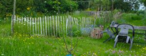 Jardiner pour la biodiversité