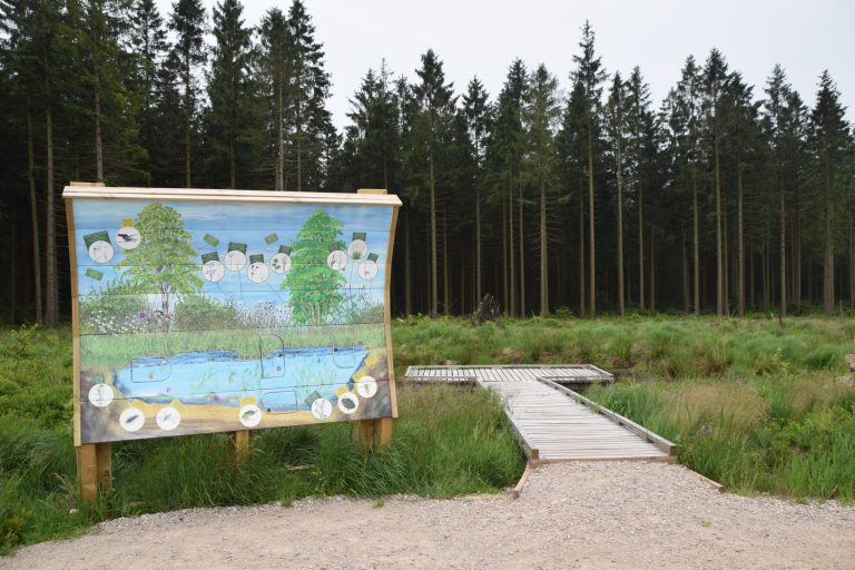 Panneau pédagogique du sentier Les couleurs des Fagnes