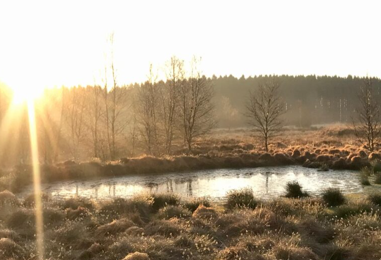 paysage de la chasse Totemus Cap sur le sommet de la Belgique