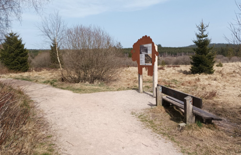 Sentier de la chasse Hautes Fagnes : Voyage au cœur de Natura 2000
