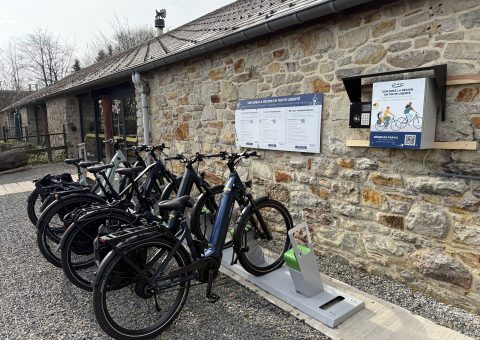 vélos électriques