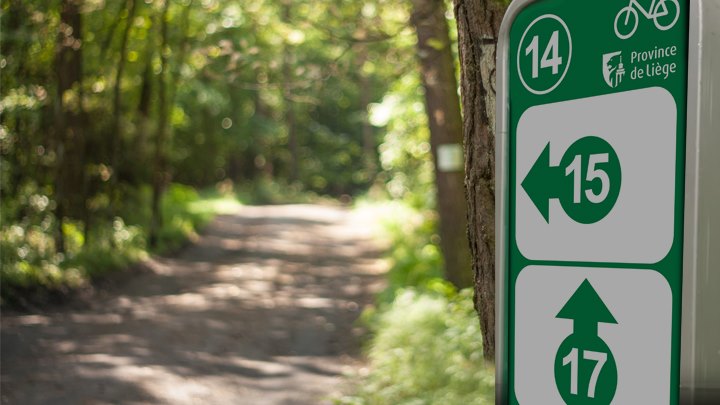 chemin cyclable du réseau points noeuds en forêt