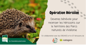 Affiche de l'Opération hérisson