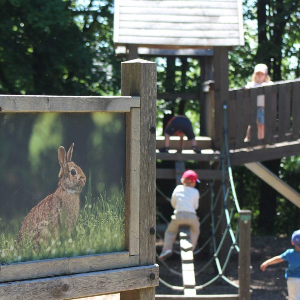 Enfants sur un module de la plaine de jeux Parc naturel